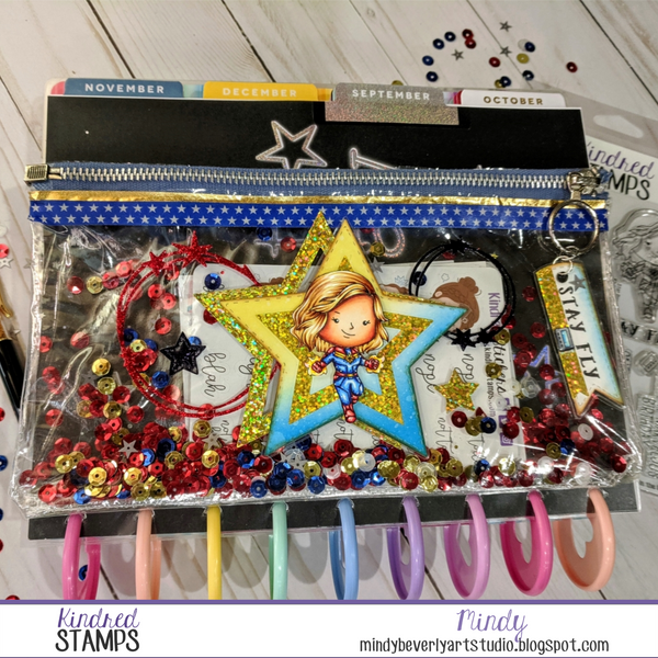 Star Power Shaker Planner Pouch