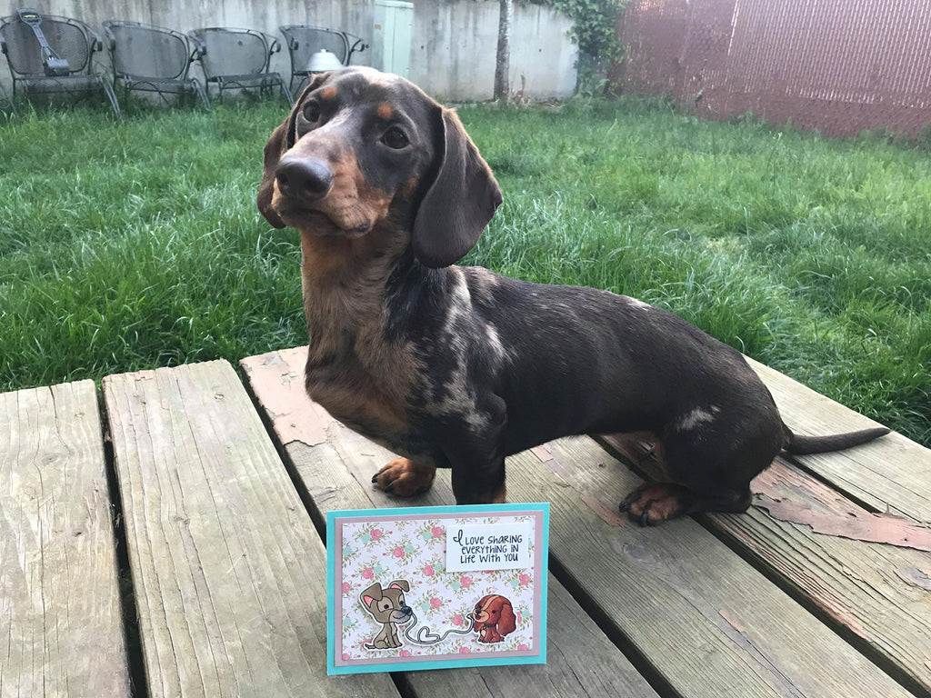 PRE-ORDER Puppy Love